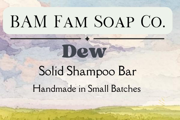 Solid Shampoo Bar